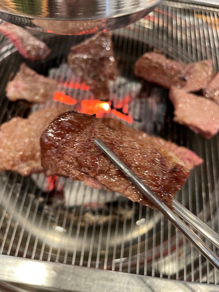 참토우 이미지
