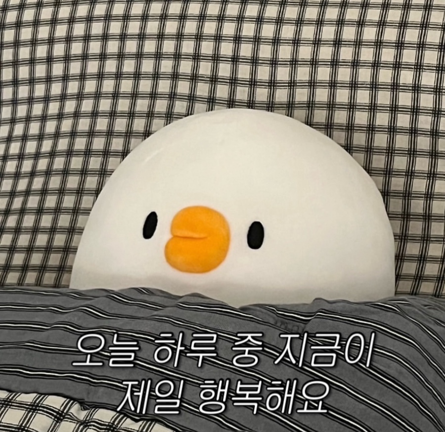 명인약손 이미지