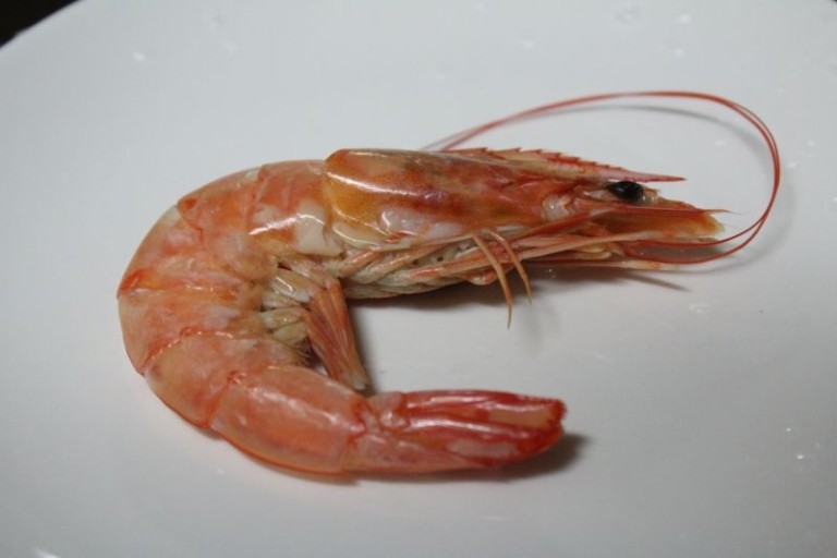건항외과 이미지