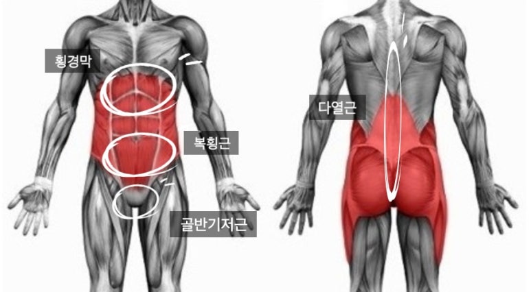 슈브로 이미지