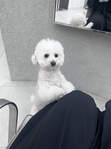 유니라벨헤어 이미지