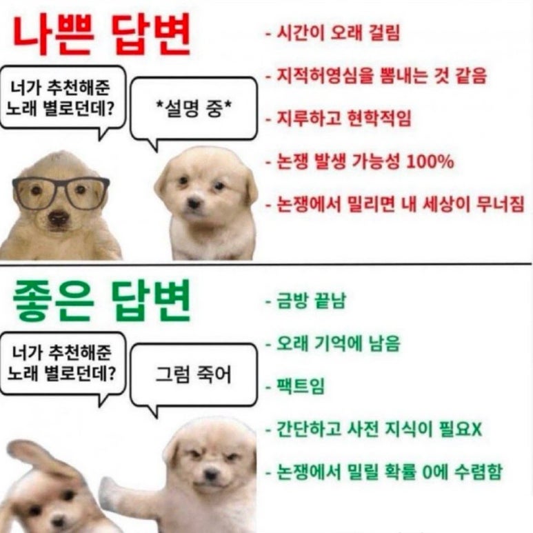 씨더 이미지