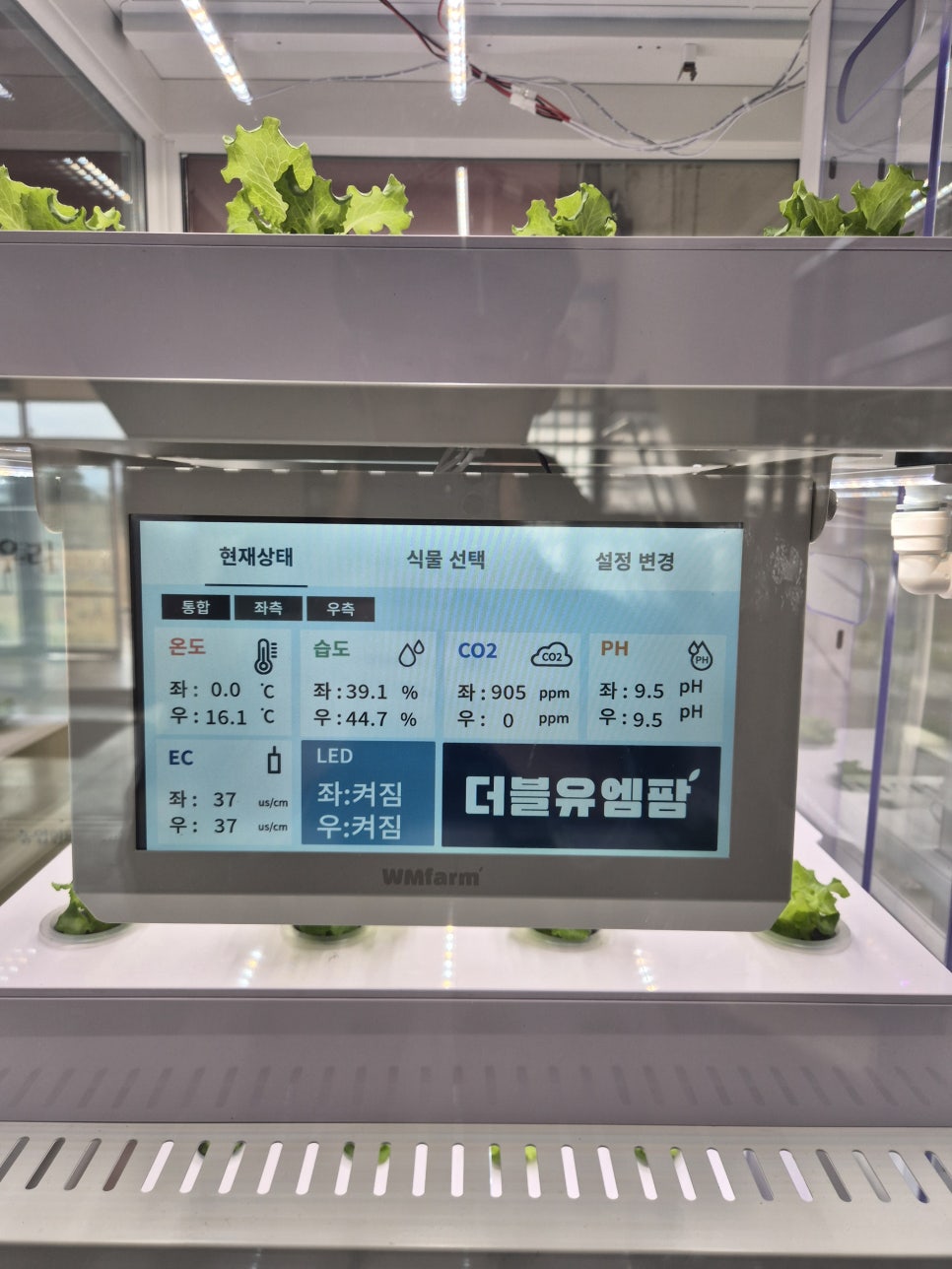 군산문창초등학교 이미지