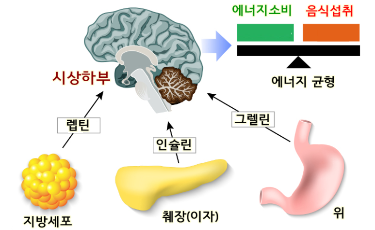 LIFE헬스 이미지