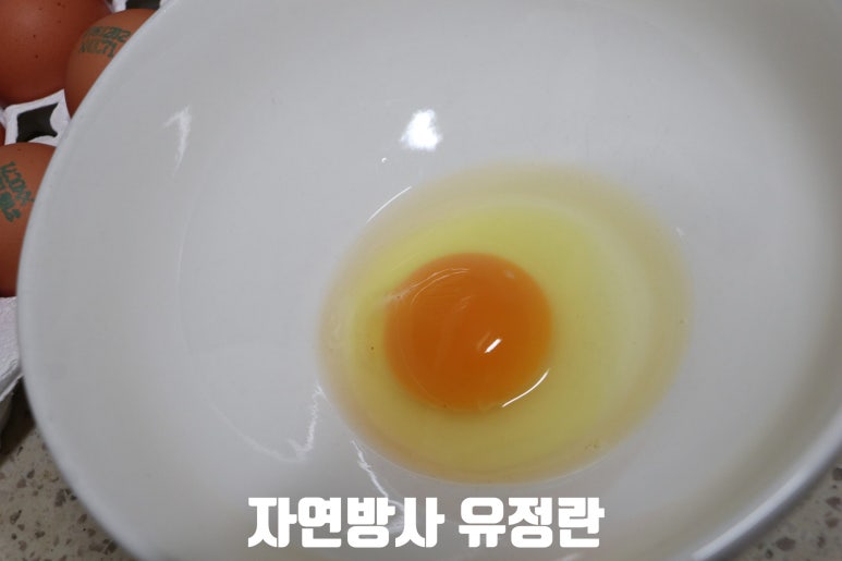 자미유정란 이미지