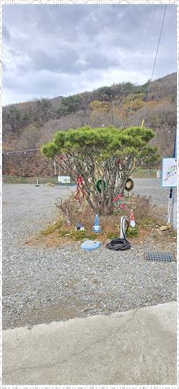 캠핑노리 이미지