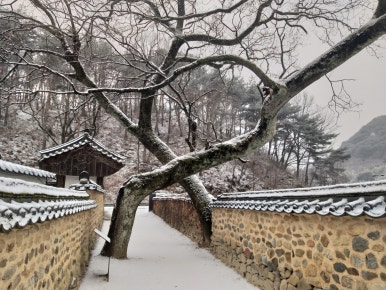 남사예담촌 이씨고가 이미지