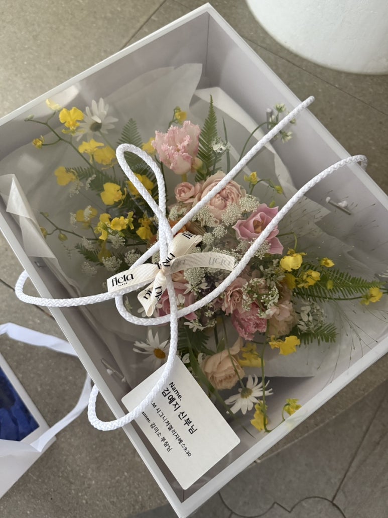 플레타플레르 이미지