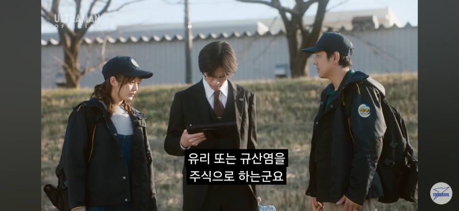 스펙키오 이미지