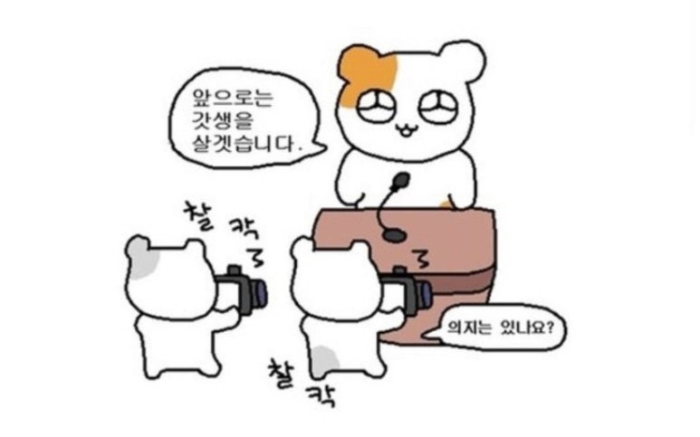 빈히 이미지