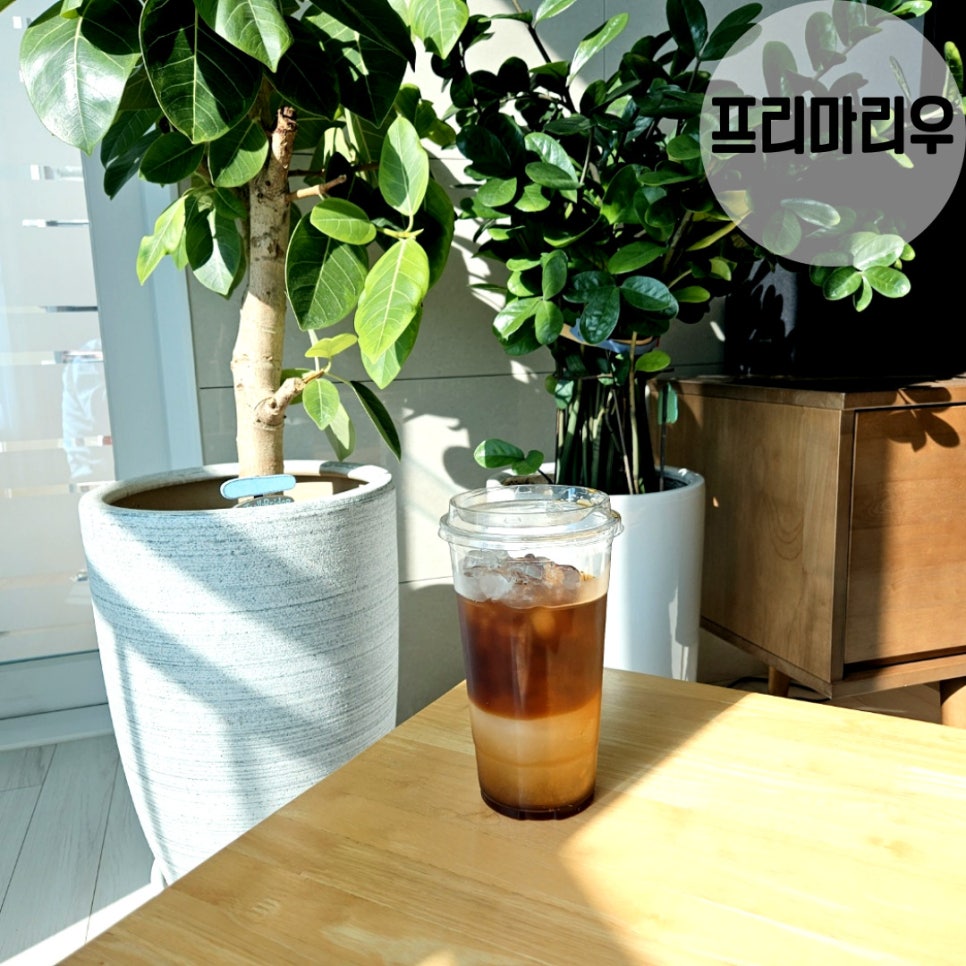 마운틴커피 이미지