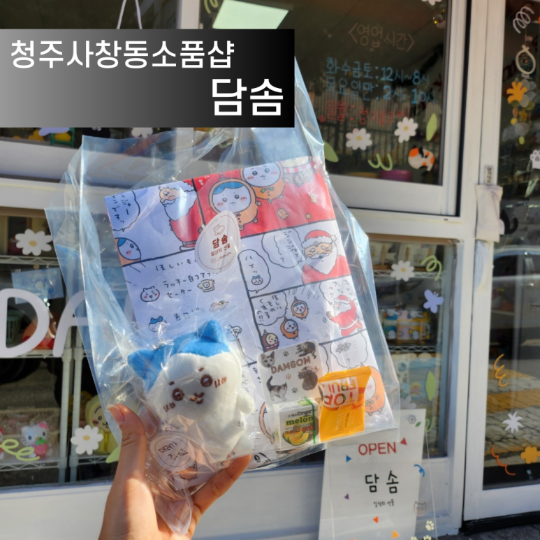 담솜 이미지
