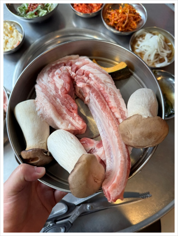 참고기 이미지