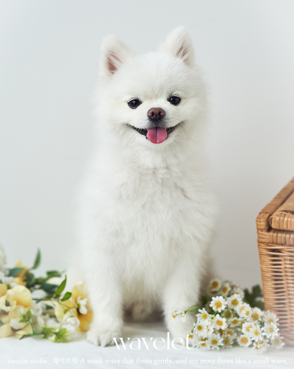 스튜디오브릿 이미지