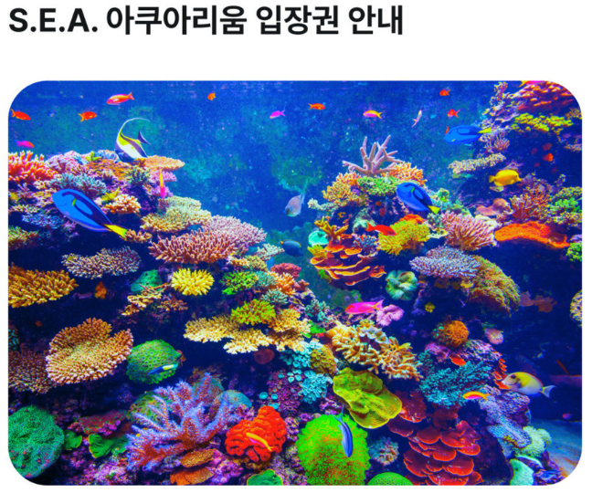 블로그여행사주 이미지