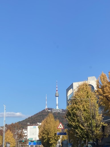 더버뮤다 사진 2