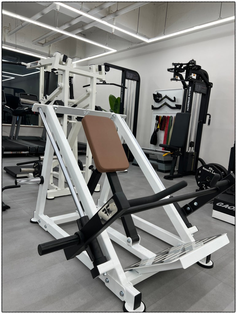올바른PT 이미지