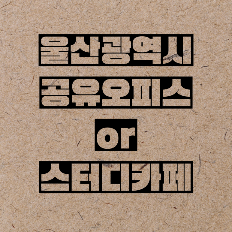 집중소1하임스터디카페 이미지