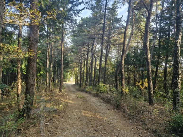 자연치유숲속농원 이미지