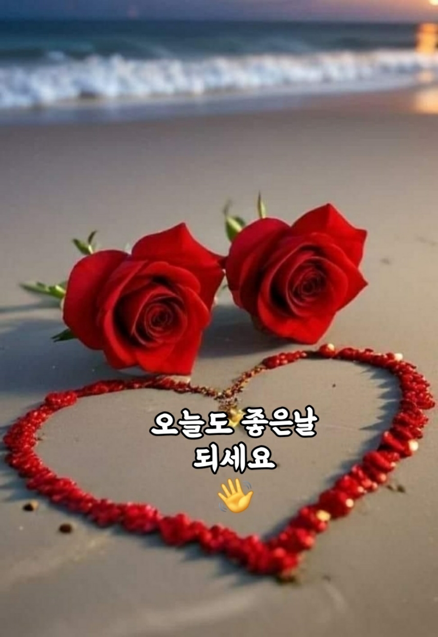 매일좋은날 이미지