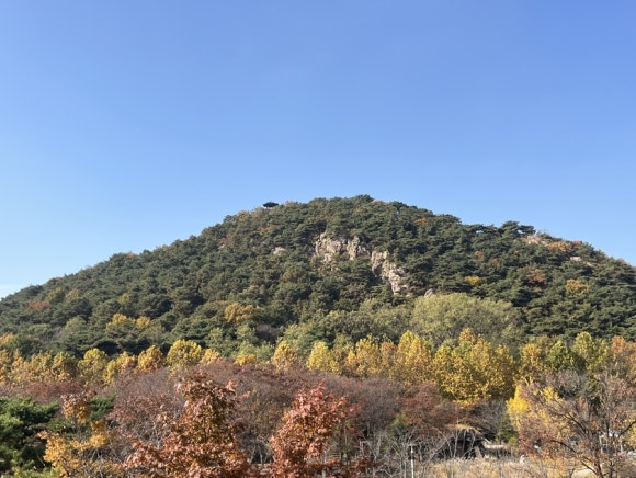 달이네수산 이미지