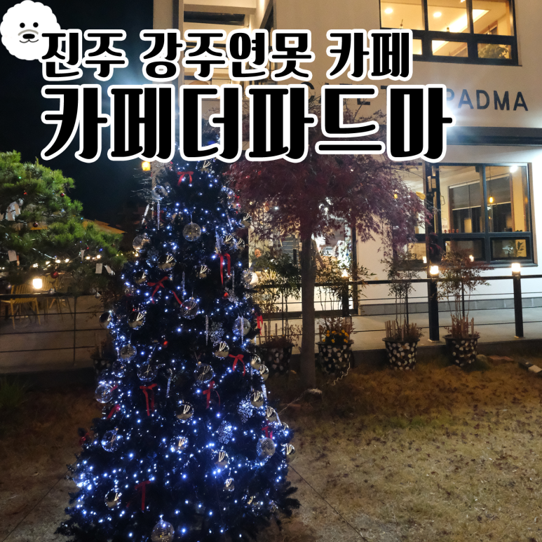 (주)파드마 이미지