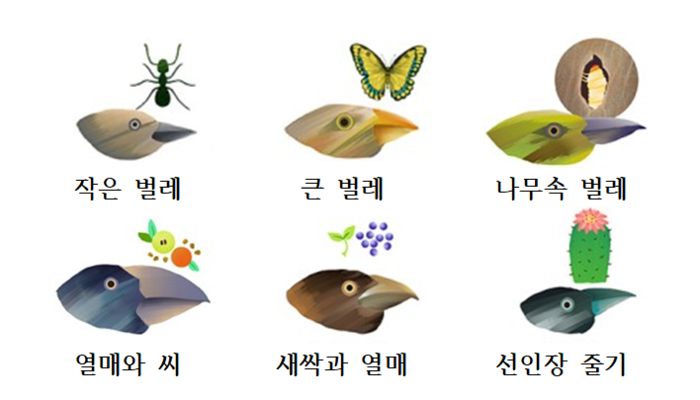 모양환경 이미지
