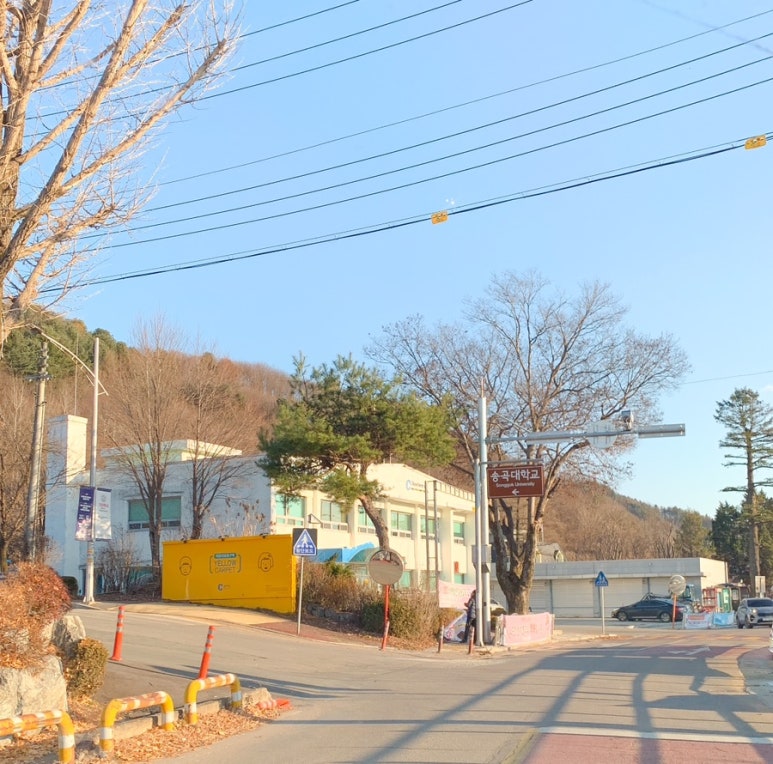 송곡승마교육원 이미지