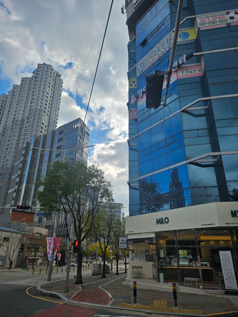 카페마일로세무서점 이미지