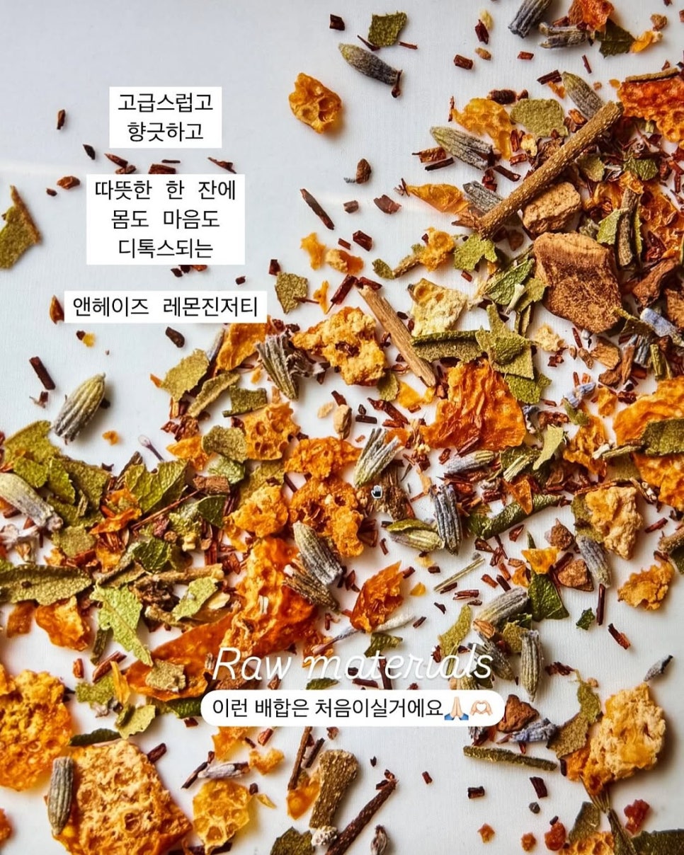 알렉스분도 이미지