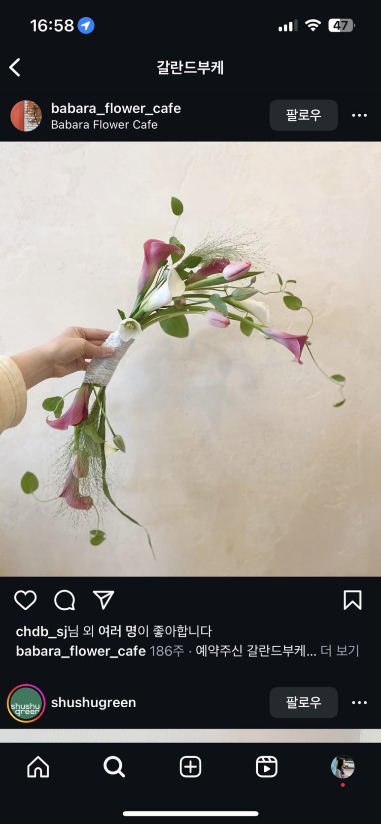 부케바이민 이미지