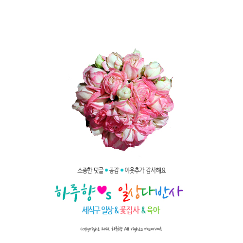 세탁예술가 이미지