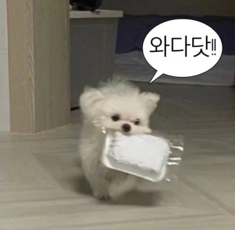 향인 이미지