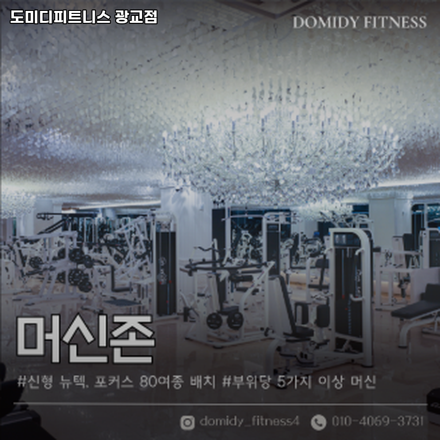 도미디피트니스 이미지