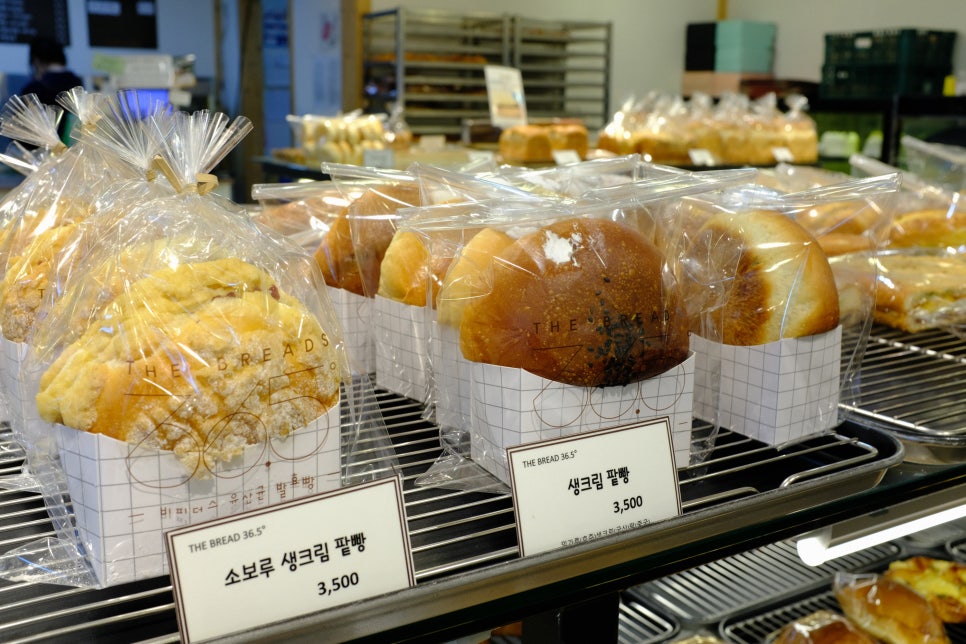 달달콩만쥬 이미지