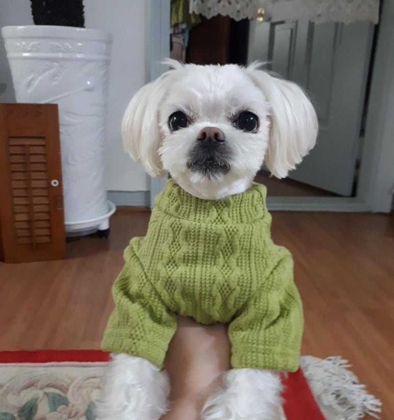 만연두샵 이미지