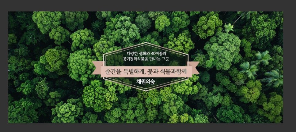 채원의숲 이미지