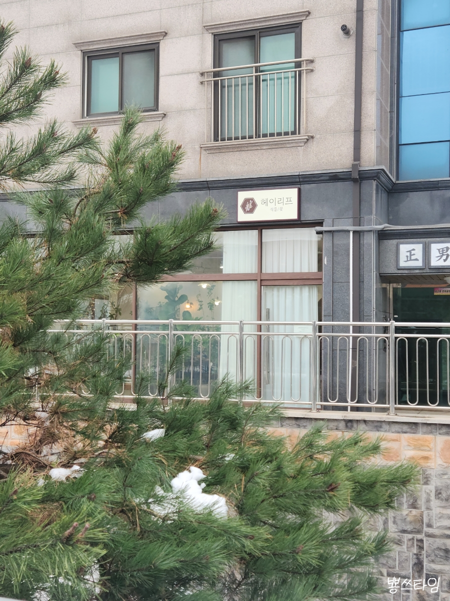 헤이리프 이미지