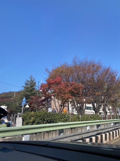 더버뮤다 사진 5