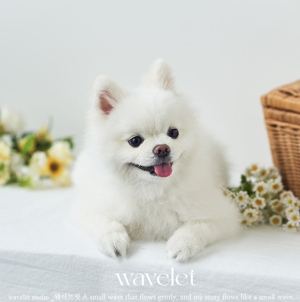 스튜디오브릿 이미지