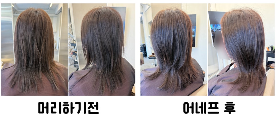 어네프 이미지