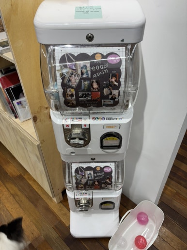 트리라이크스워터 이미지