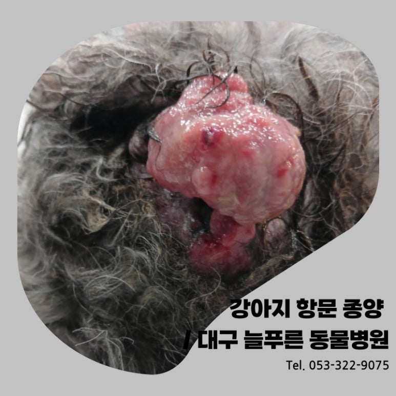 늘푸른외과 이미지