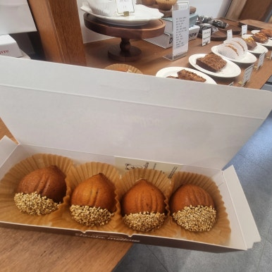 코알라멜로우 이미지