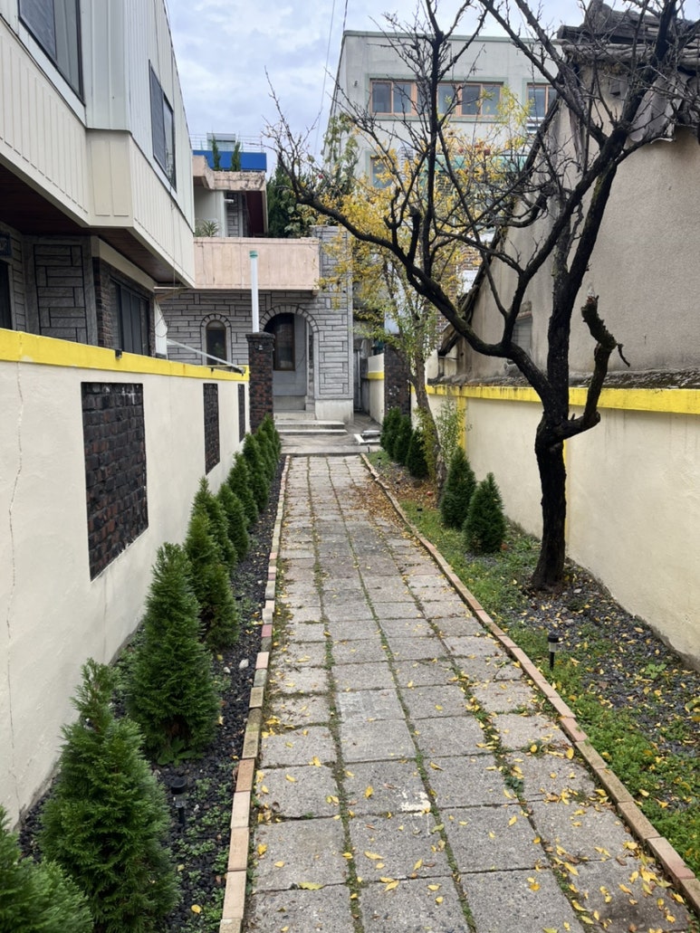 스테이선화 이미지