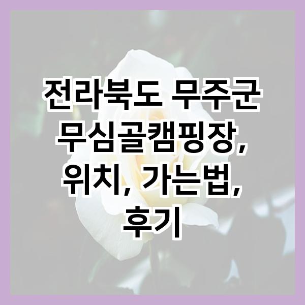 무심골캠핑장 이미지