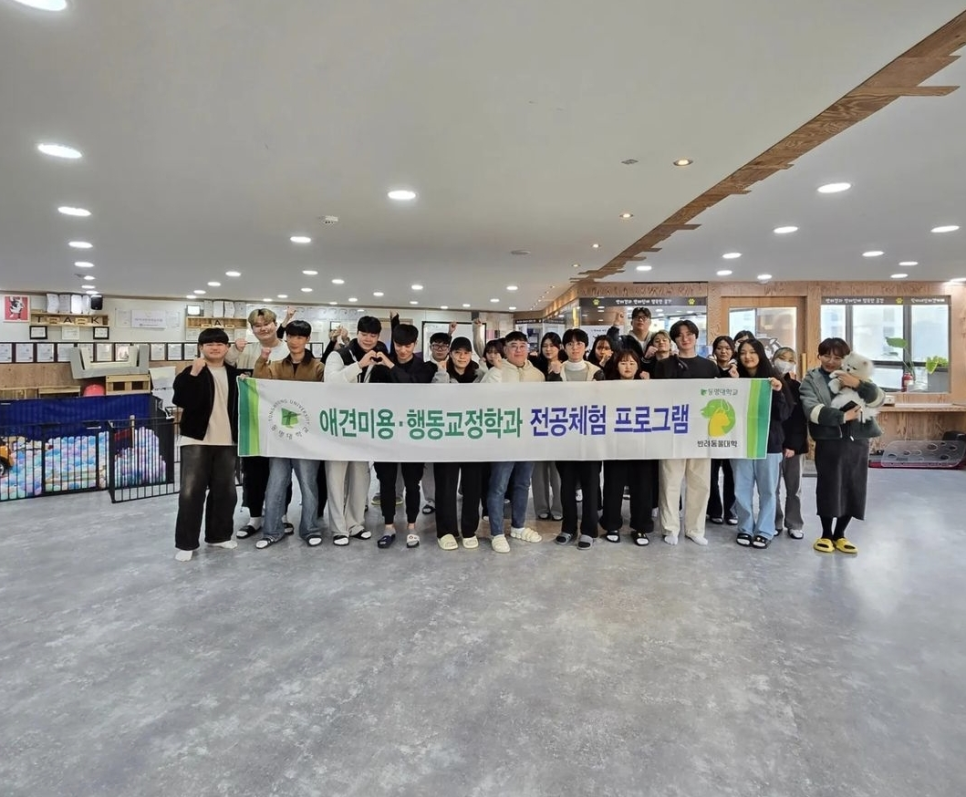 탁이네 이미지