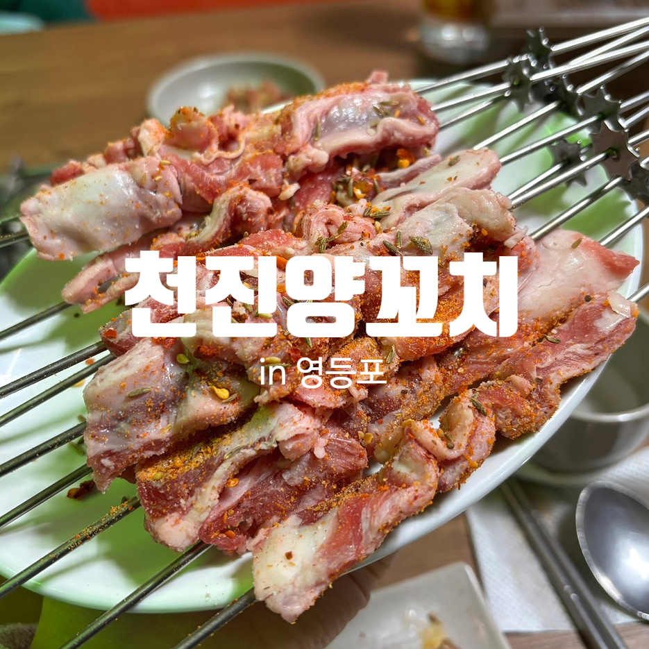 천진양꼬치 이미지