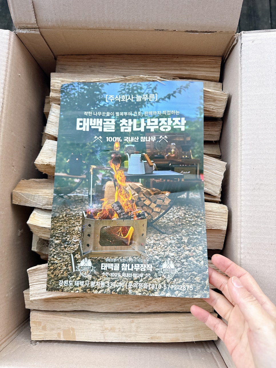 태백골 이미지