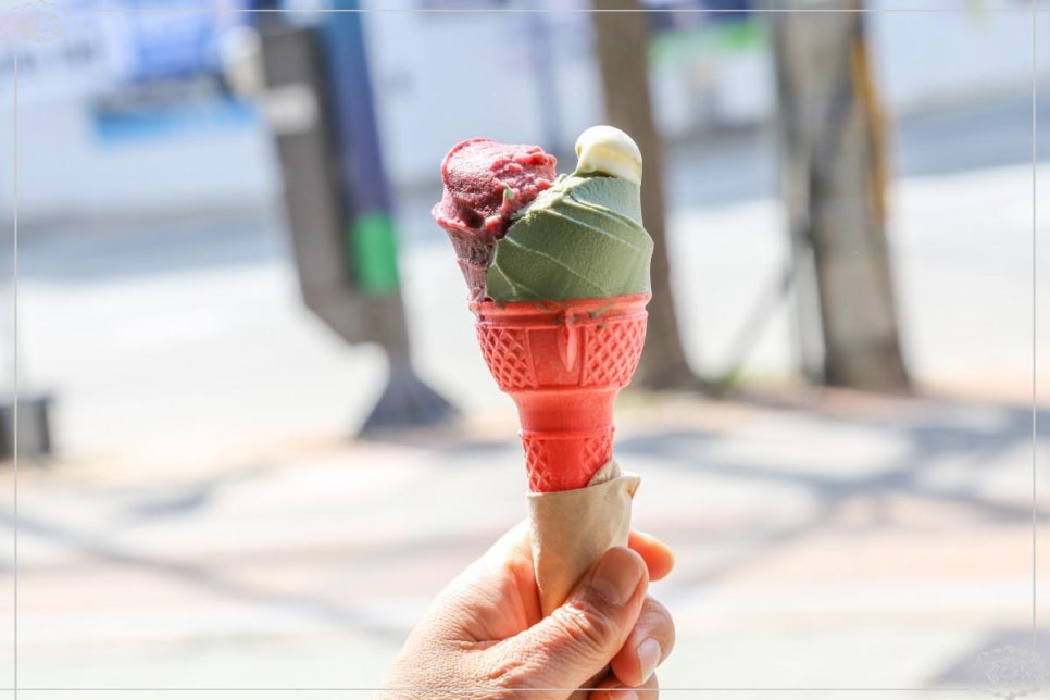라또래요 이미지
